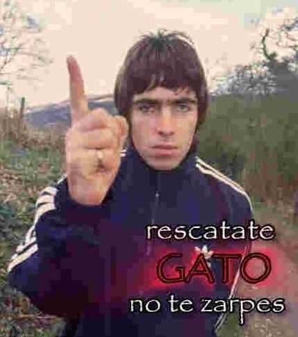 3451edb0c11ef860326256f536908a41