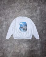 Apc 0628